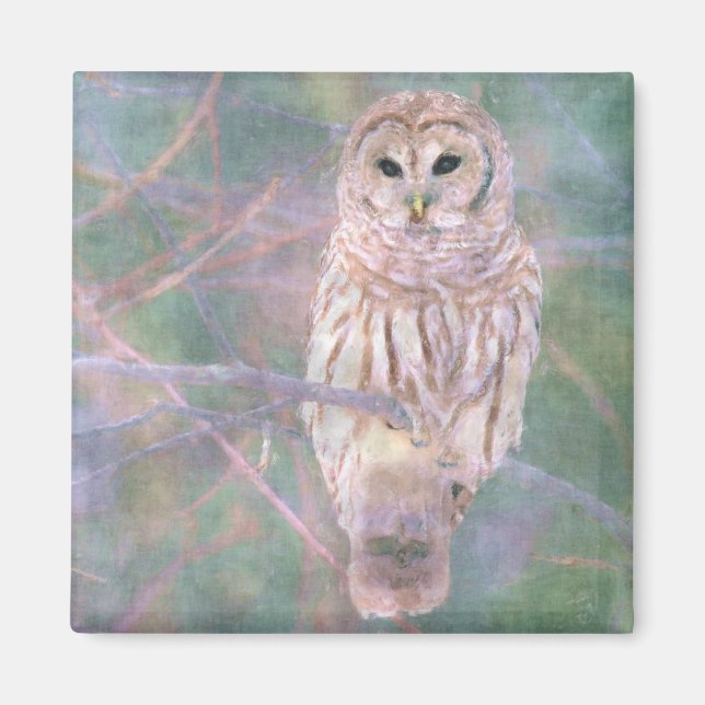 Barred Owl Pastelllackierung Magnet (Vorne)