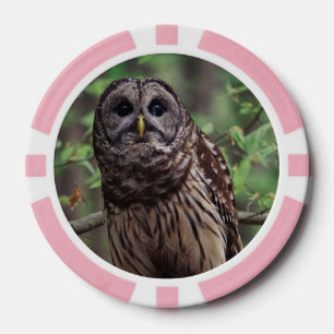 Barred Owl Pokerchips