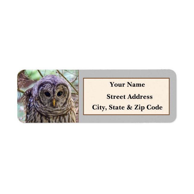 Barred Owl Rücksendeadressen-Aufkleber (Vorne)