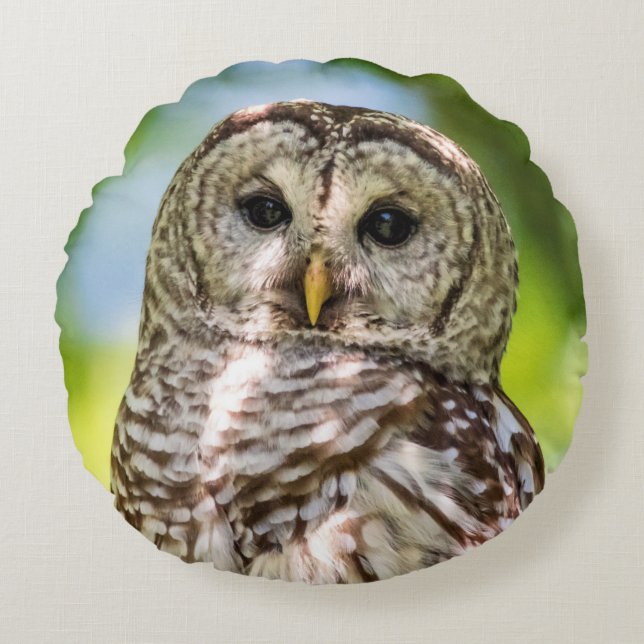 Barred Owl Rundes Kissen (Vorderseite)