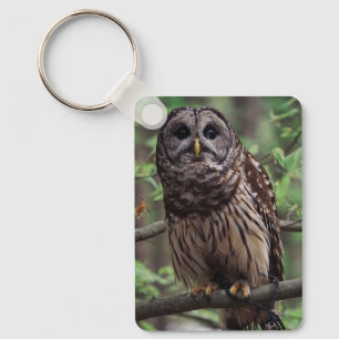 Barred Owl Schlüsselanhänger