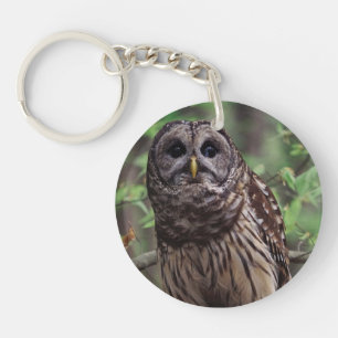 Barred Owl Schlüsselanhänger