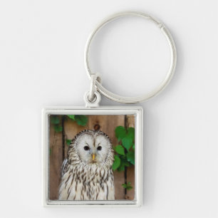 Barred Owl Schlüsselanhänger