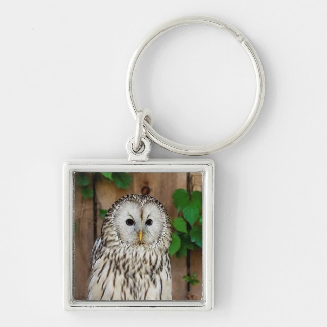 Barred Owl Schlüsselanhänger (Vorne)