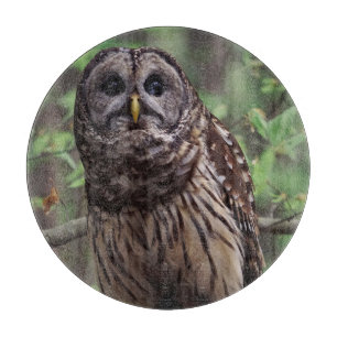 Barred Owl Schneidebrett