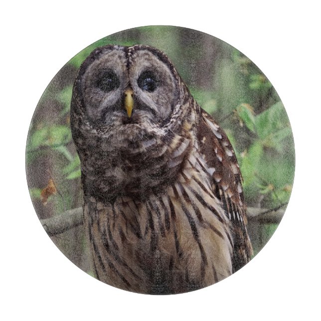 Barred Owl Schneidebrett (Vorderseite)