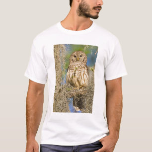 Barred Owl (Strix varia) in Zypressenbaum T-Shirt