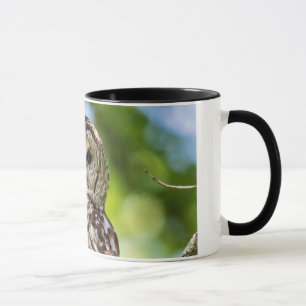 Barred Owl Tasse