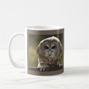 Barred Owl-Tasse Kaffeetasse