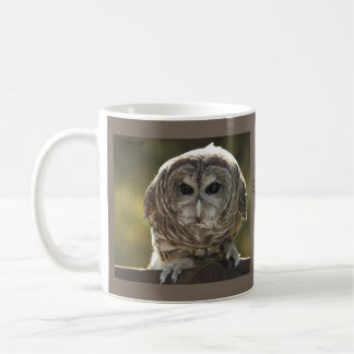 Barred Owl-Tasse Kaffeetasse