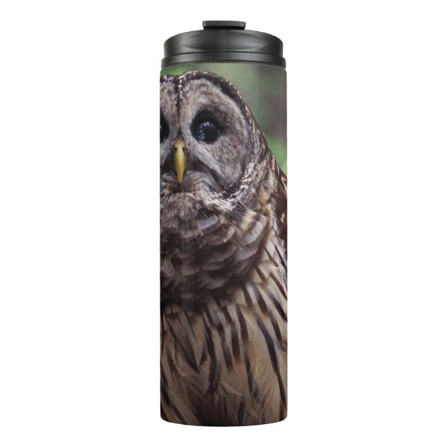 Barred Owl Thermosbecher (Vorderseite)