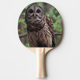 Barred Owl Tischtennis Schläger