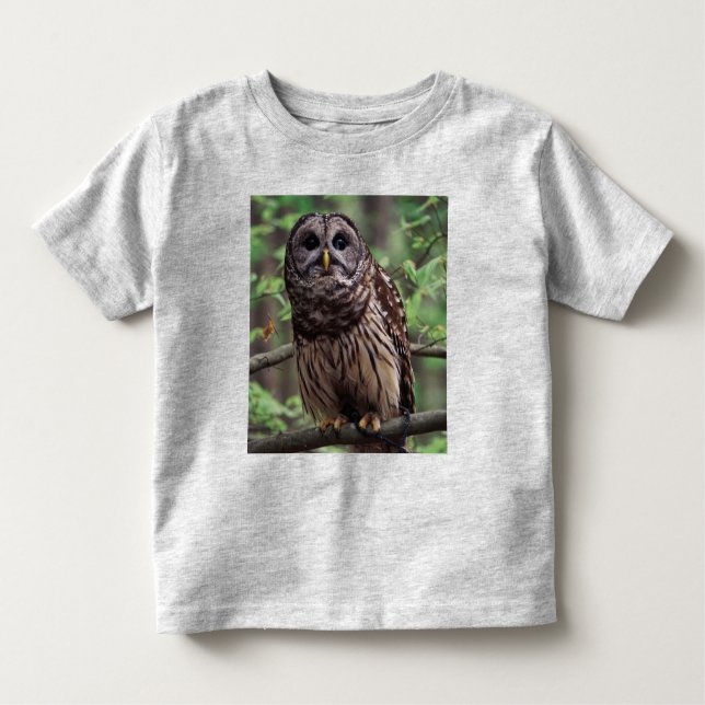 Barred Owl Todler T - Shirt (Vorderseite)
