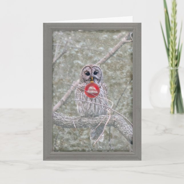 Barred Owl Weihnachtskarte Dankeskarte (Vorderseite)