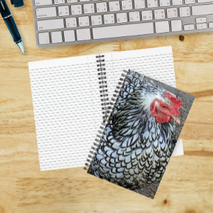 Barred Plymouth Rock Chicken Notizbuch
