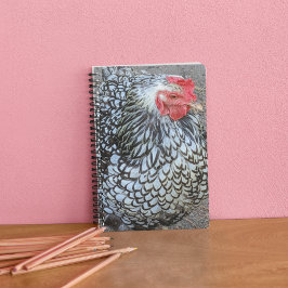 Barred Plymouth Rock Chicken Notizbuch