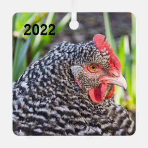 Barred Rock Hen - Hähnchen für Haustiere Ornament Aus Metall