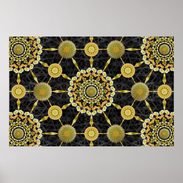 Barrel Cactus Array 1 Poster (Vorne)