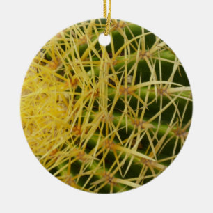 Barrel Cactus Closeup Abstrakt Naturefotografie Keramikornament