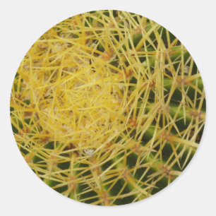 Barrel Cactus Closeup Abstrakt Naturefotografie Runder Aufkleber