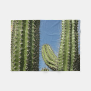 Barrel Cactus I Desert Foto Fleecedecke