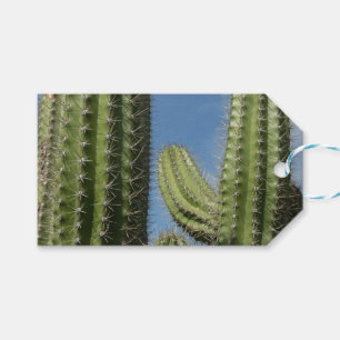 Barrel Cactus I Desert Foto Geschenkanhänger