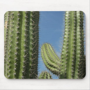 Barrel Cactus I Desert Foto Mousepad