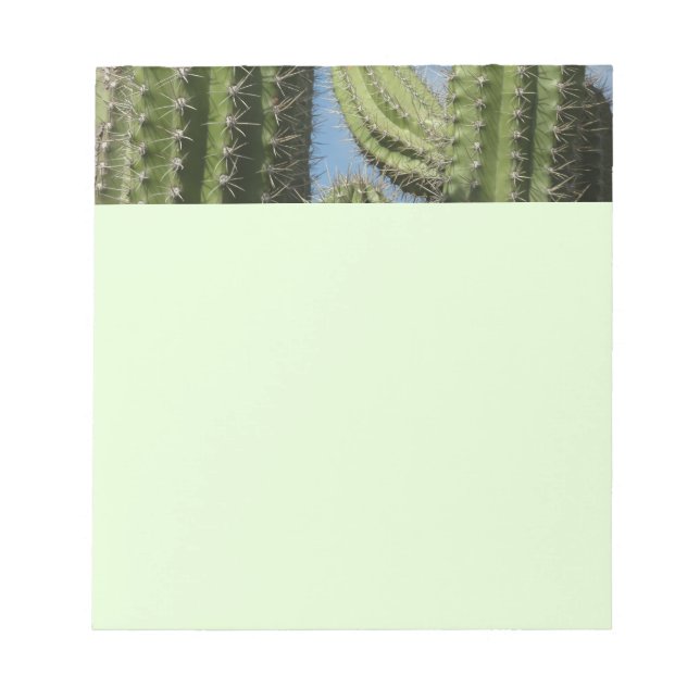 Barrel Cactus I Desert Foto Notizblock (Vorderseite)