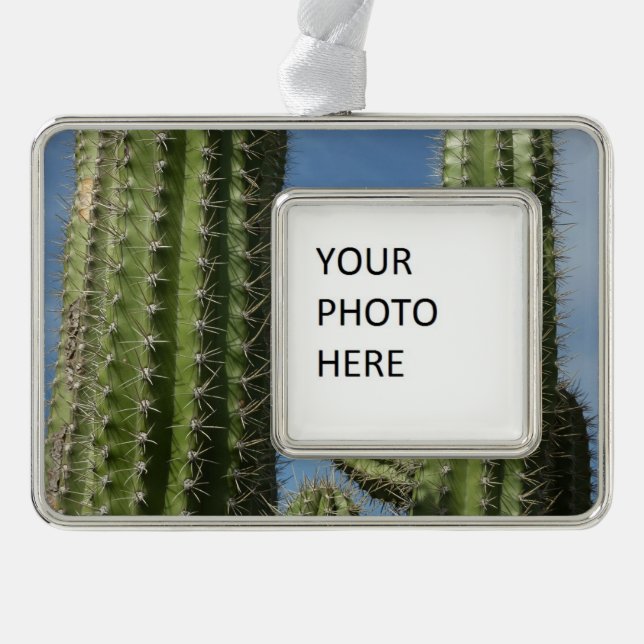 Barrel Cactus I Desert Foto Rahmen-Ornament Silber (Vorderseite)