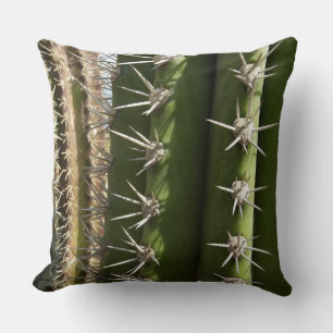 Barrel Cactus II Desert Nature Foto Kissen