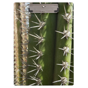 Barrel Cactus II Desert Nature Foto Klemmbrett
