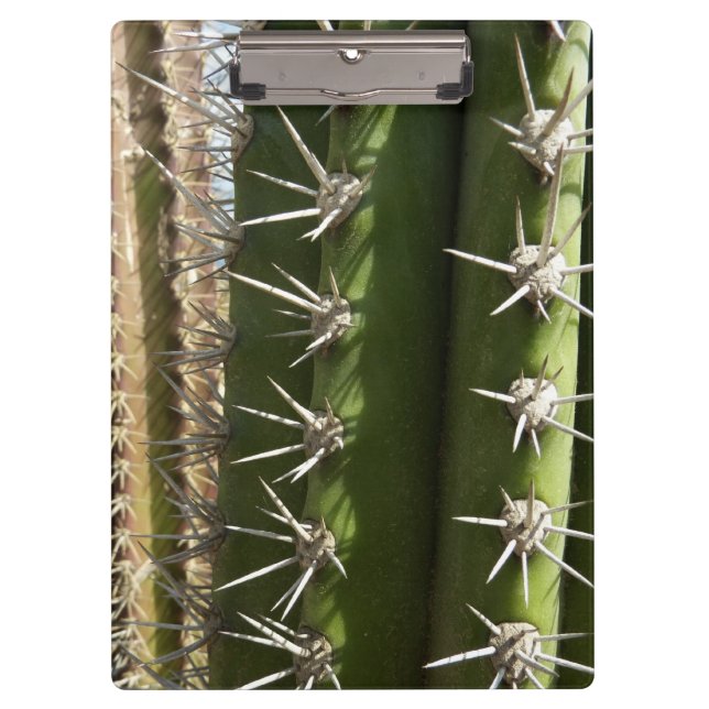 Barrel Cactus II Desert Nature Foto Klemmbrett (Vorderseite)