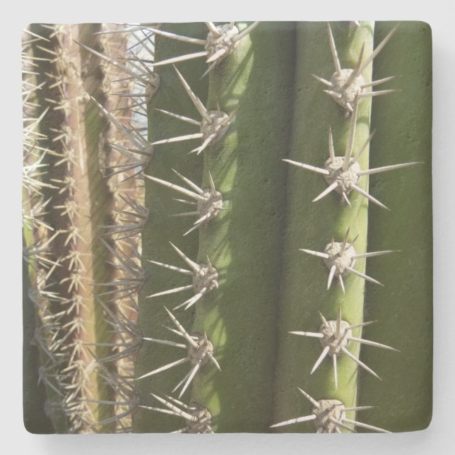 Barrel Cactus II Desert Nature Foto Steinuntersetzer (Vorderseite)