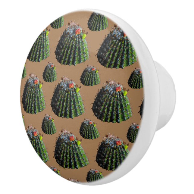 Barrel Cactus Knobs Keramikknauf (Rechts)
