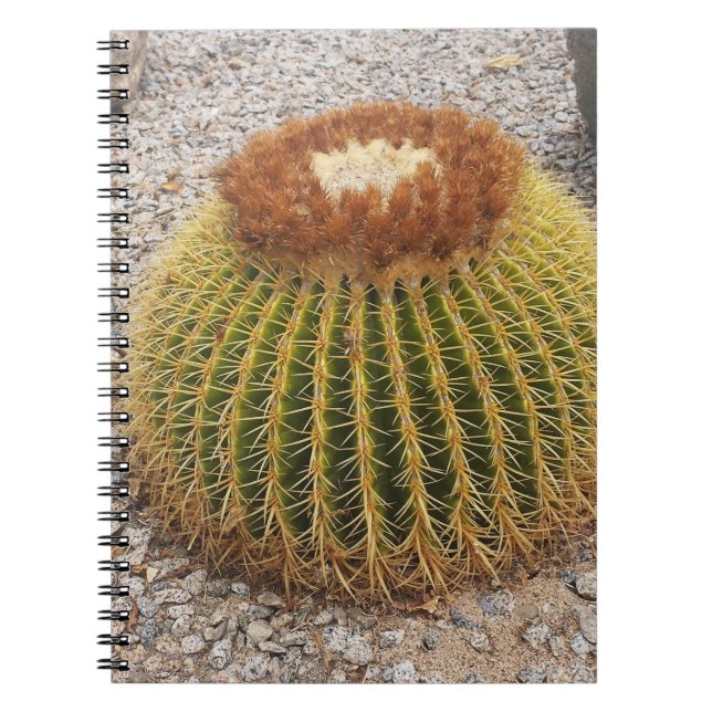 Barrel Cactus Notizblock (Vorderseite)