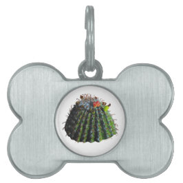 Barrel Cactus Pet Tags Tiermarke