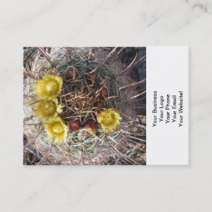 Barrel Cactus Pflanze Fishaken Yellow Visitenkarte