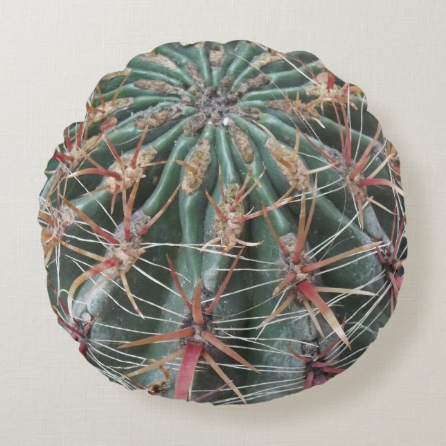 Barrel Cactus Southwest Cacti Wüstenpflanzen Rundes Kissen (Vorderseite)