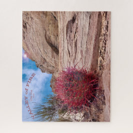 Barrel Cactus, Valley Staat Park, Nevada