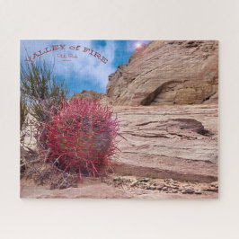 Barrel Cactus, Valley Staat Park, Nevada