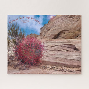 Barrel Cactus, Valley Staat Park, Nevada