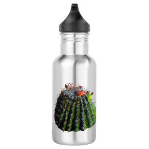 Barrel Cactus Water Flasche Edelstahlflasche