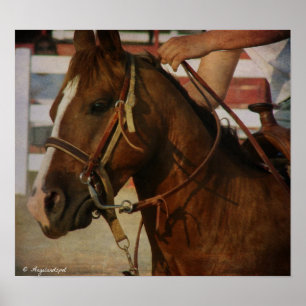 Barrel Race Pferd Poster