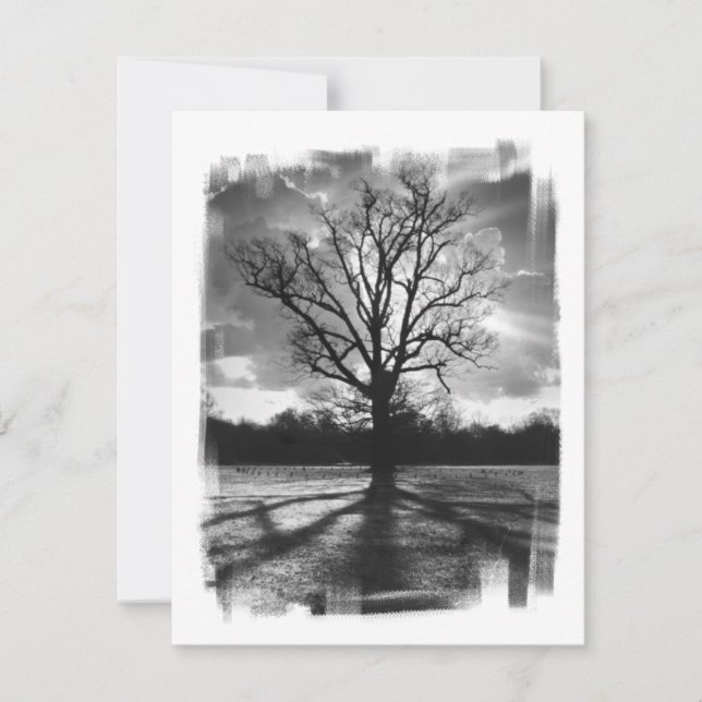 Barren Branches Tree (Vorderseite)