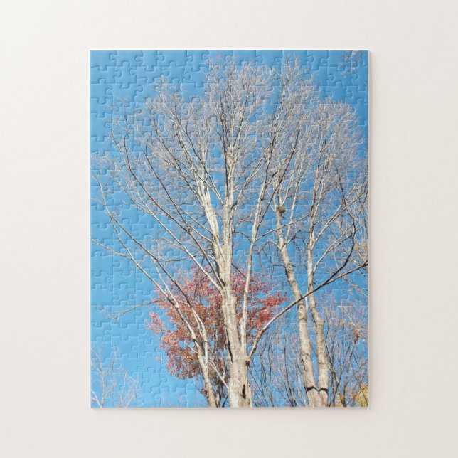 Barren Trees (Vertikal)