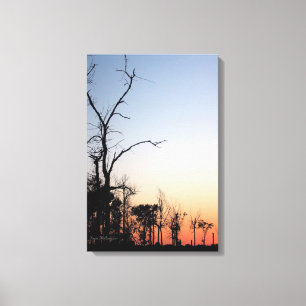 Barren Trees bei Dusk Canvas Print Leinwanddruck