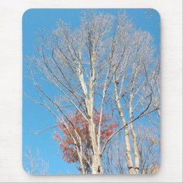 Barren Trees Mousepad