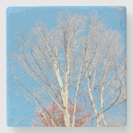 Barren Trees Steinuntersetzer