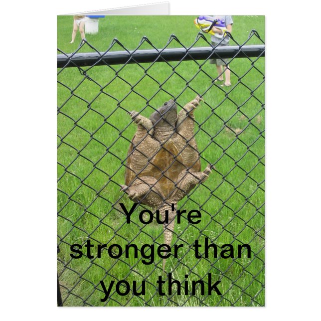 Barrière d'escalade de tortue (Devant)