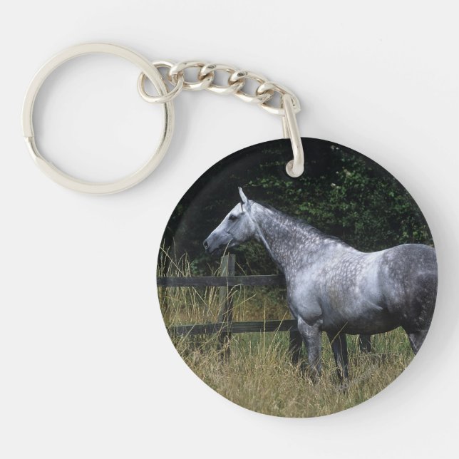Barrière se tenante prêt de cheval de pur sang (Devant)